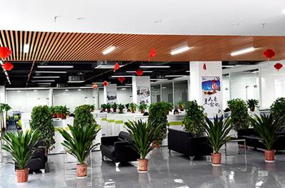 Anern Established Anern Optoelectronics Co., Ltd. in Shenzhen