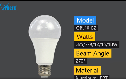 Anern LED Bulb Light