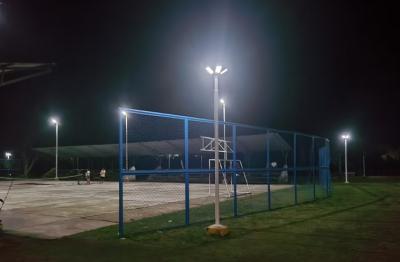 Enchanting Evenings: Solar Garden Light Exporter for Hospitality Venues