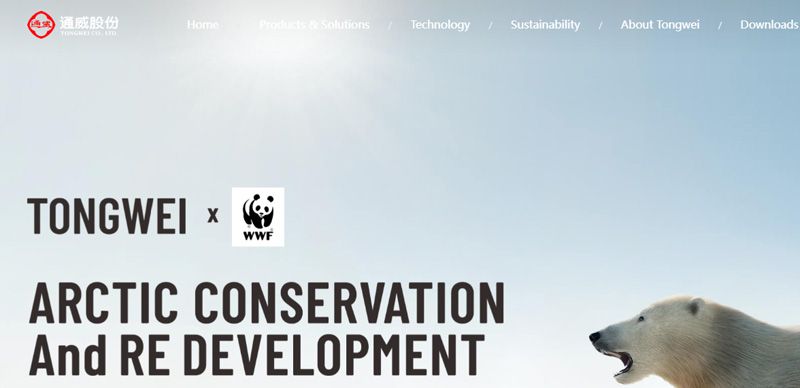 tongwei.jpg tongwei.jpg