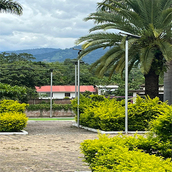 50-Sets-of-SLZ2-60W-Solar-Street-Lights.png 50-Sets-of-SLZ2-60W-Solar-Street-Lights.png