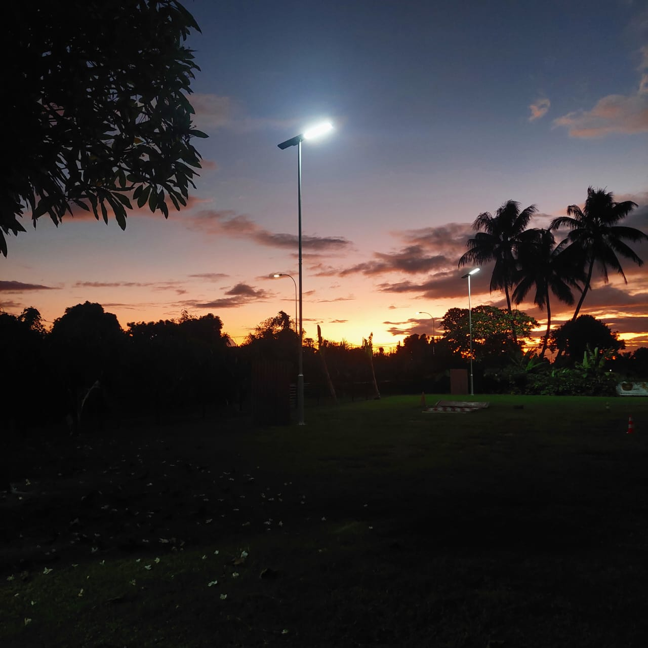 French_Polynesian-5.jpg